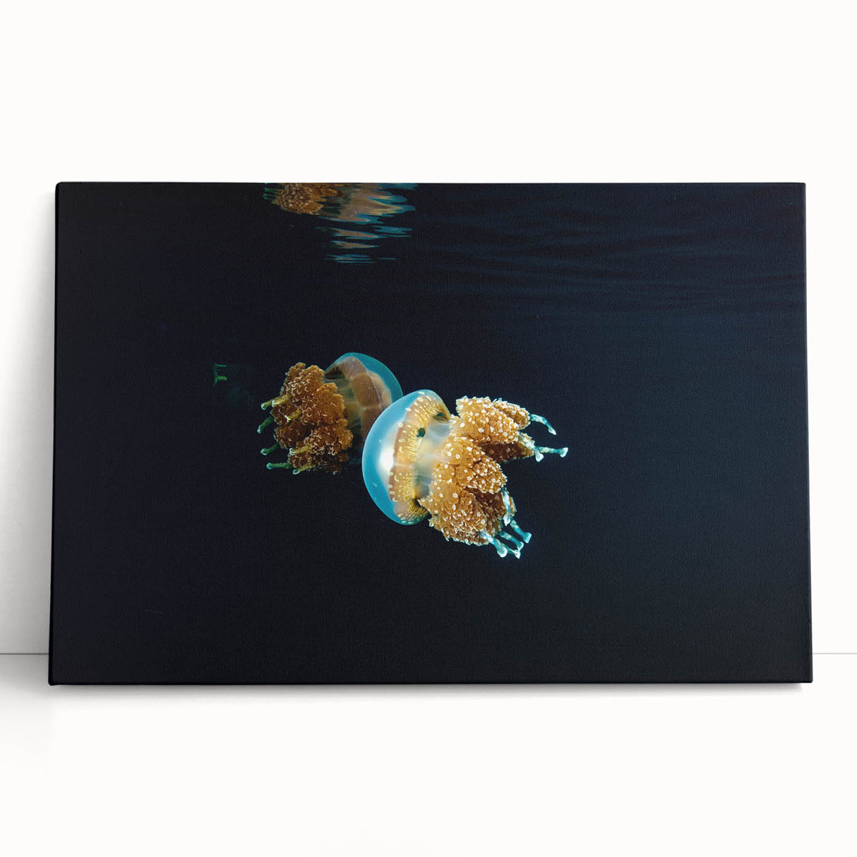 Large black and white stretched canvas of oceanic scenery, ideal for kitchen wall art.