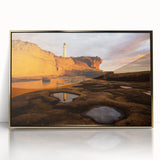 Large art print of Wellington, New Zealand in muted earth tones on a framed acrylic, perfect for modern art wall decor.