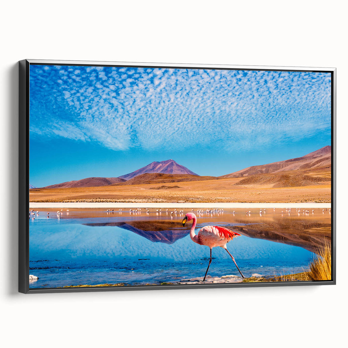 Black and white framed canvas featuring a vintage-style Bolivian landscape, ideal for bedroom wall art.