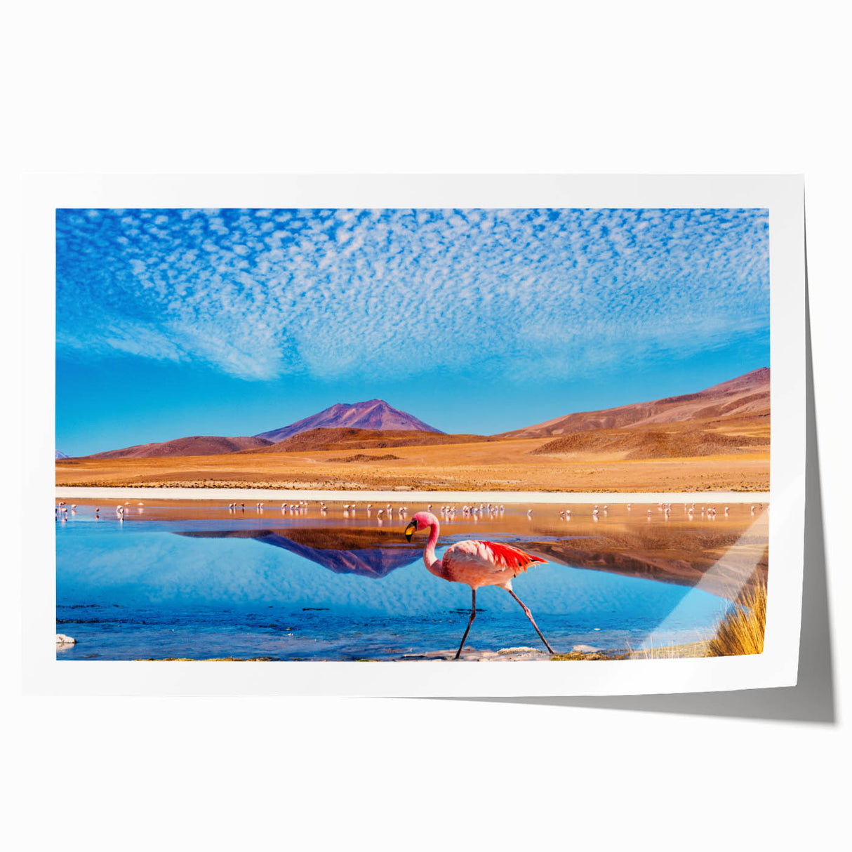 Extra large rolled print depicting a scenic Bolivian landscape with vibrant greens and blues, ideal for art wall dining room.