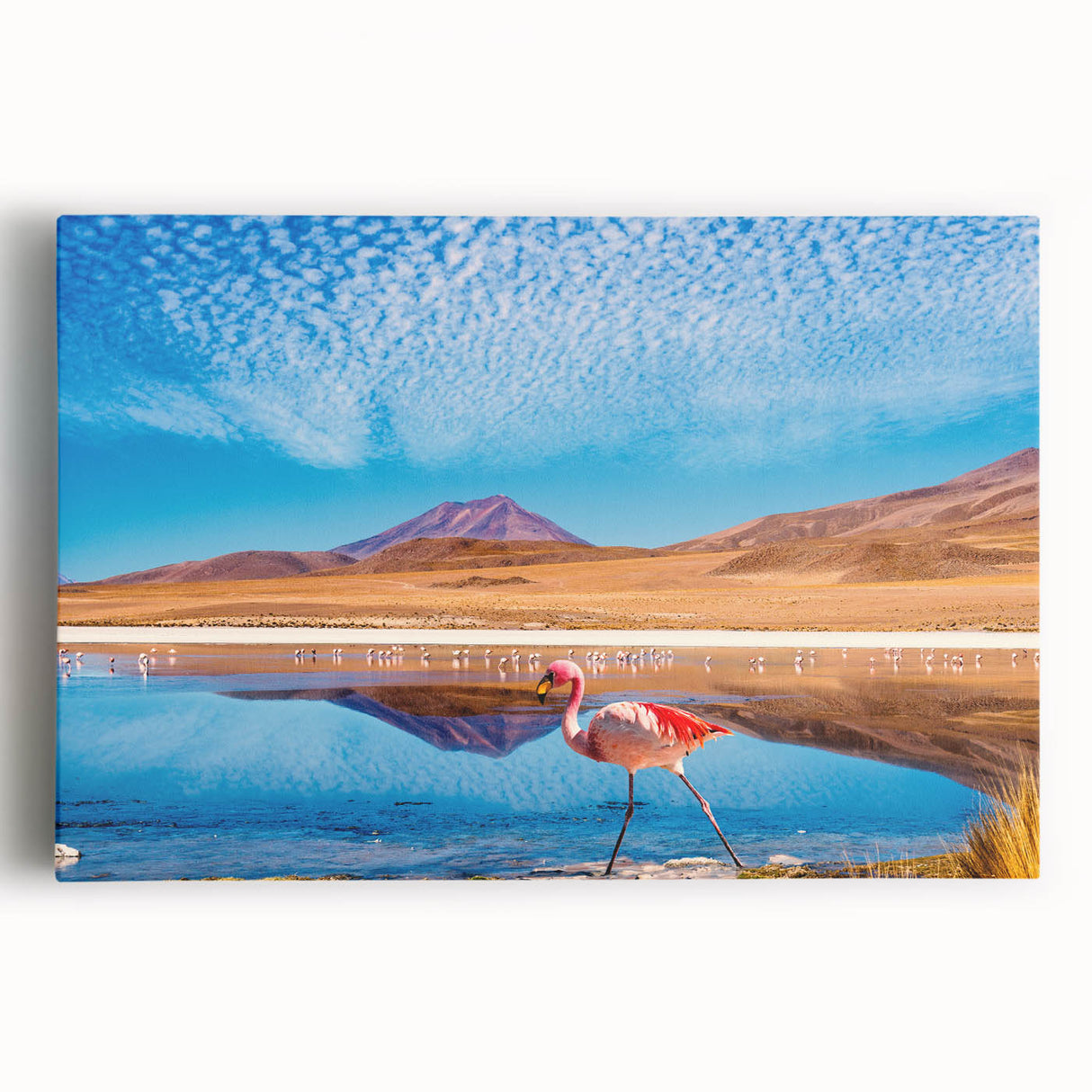 Black and white photograph of Bolivian landscape on large stretched canvas, ideal for kitchen wall art.