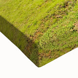 Large art depicting a black and white landscape of Chilean scenery on stretched canvas, suitable for bedroom wall decor.