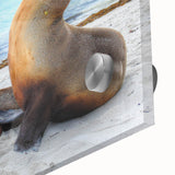 Large abstract wall art depicting a Galapagos scenery in mid-century modernist style on acrylic glass.