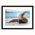 Colorful abstract art print of Galapagos scenery in a black frame, ideal for living room decor.