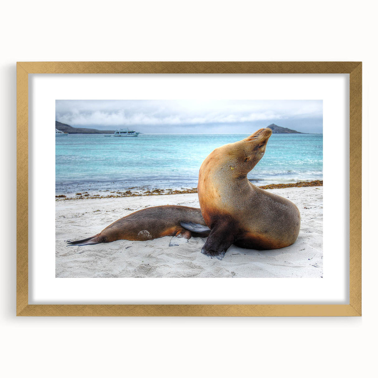 Extra large abstract art print of the Galápagos scenery, in gold frame, ideal for living room decor.