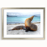 Textured abstract art print of a Galapagos scenery in muted earth tones on a framed silver mat, suitable for bedroom art.