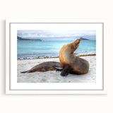 Abstract art print of the Galápagos scenery in muted earth tones on a white framed canvas, suitable for dining room decor.