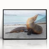 Large abstract wall art of Galapagos scenery in black frame, acrylic print, mid-century modernist style.
