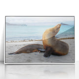 Acrylic print of Galapagos scenery with vibrant blue and green tones in an art deco style, ideal for modern art wall decor.