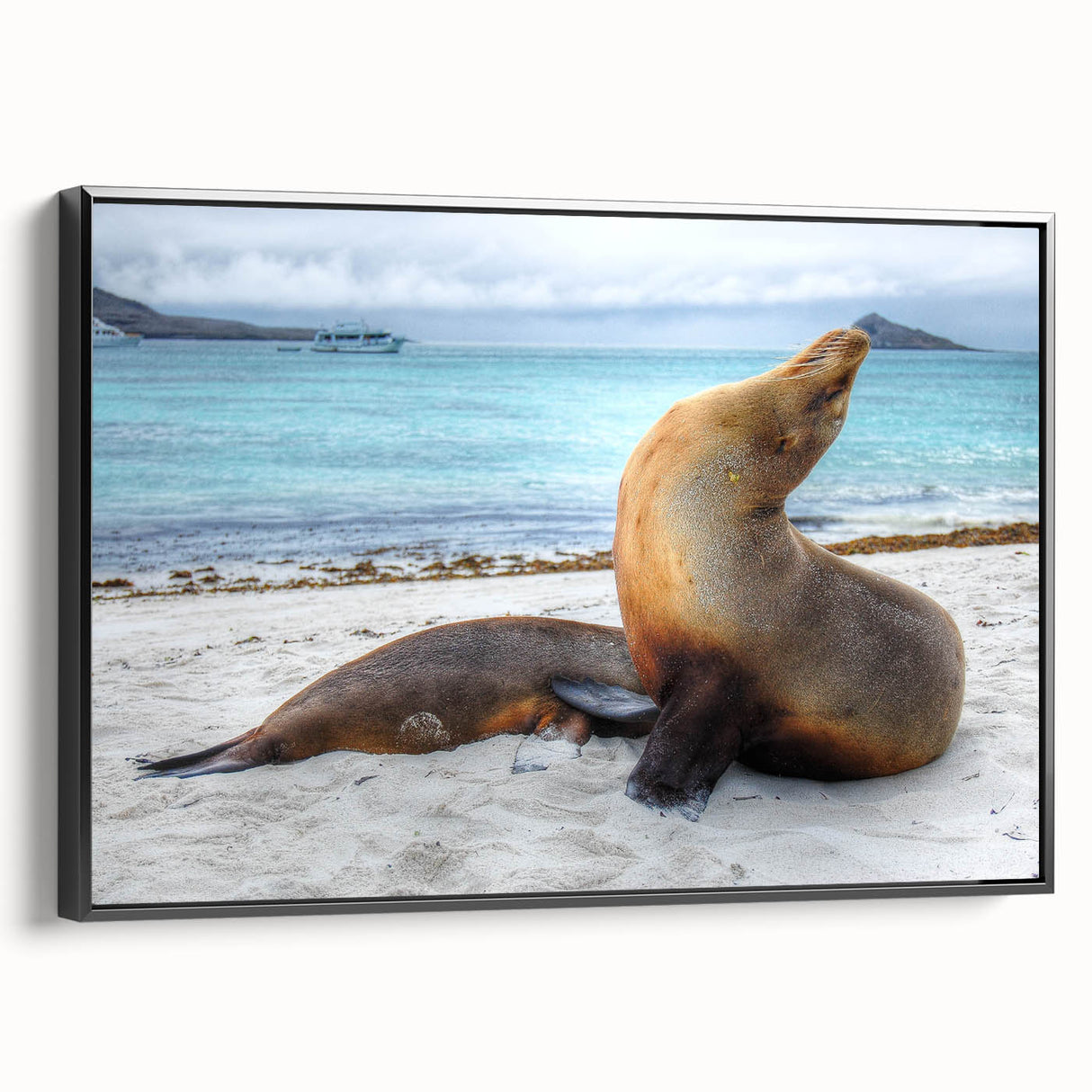 Black and white framed canvas of a Galápagos landscape, perfect for bedroom wall decor.