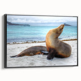 Black and white framed canvas of a Galápagos landscape, perfect for bedroom wall decor.