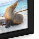 Extra large framed canvas of a black textured art piece depicting colorful Galapagos scenery, ideal for living room decor.