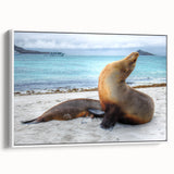 Vintage poster art of Galapagos scenery on a large framed canvas with vibrant colors, ideal for living room decor.