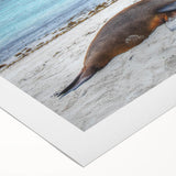 Art deco poster of Galapagos scenery on rolled canvas, featuring deep blue and green tones, suitable for dining room decor.