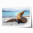 Rolled canvas print featuring a serene Galapagos landscape with soft green and blue tones, ideal for dining room wall art.