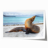 Rolled canvas print featuring a serene Galapagos landscape with soft green and blue tones, ideal for dining room wall art.