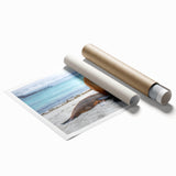 Extra large rolled print of Galapagos scenery with vibrant green and blue tones.