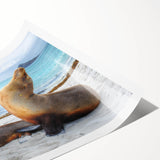 Extra large wall art featuring line art flowers in vibrant colors on rolled print, ideal for large living room decor.