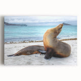 Black and white stretched canvas of the Galápagos scenery, ideal for kitchen wall art.