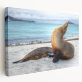 Vivid depiction of the Galápagos Islands on a stretched canvas, featuring rich blue and green tones.