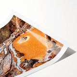 Extra large rolled print of line art flowers in monochrome, ideal for large living room wall art.