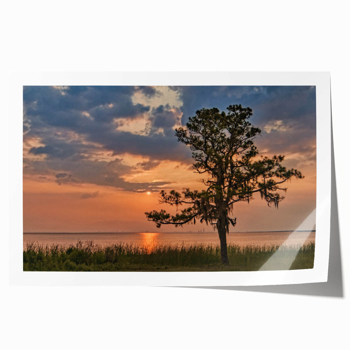 Rolled print of an Alabama landscape featuring soft pastel shades of floral designs, ideal for art wall dining room decor.