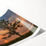 Extra large rolled print featuring line art flowers in muted earth tones, ideal for large living room wall art.