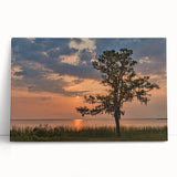 Black and white stretched canvas depicting Alabama scenery, ideal for kitchen wall art or bedroom ambiance.
