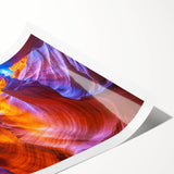 Extra large rolled print of line art flowers in muted earth tones, ideal for large living room wall art.