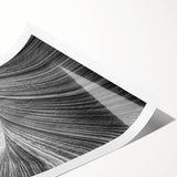 Extra large rolled print of Coyote Buttes in Arizona, featuring earth tones, ideal for large living room wall art.