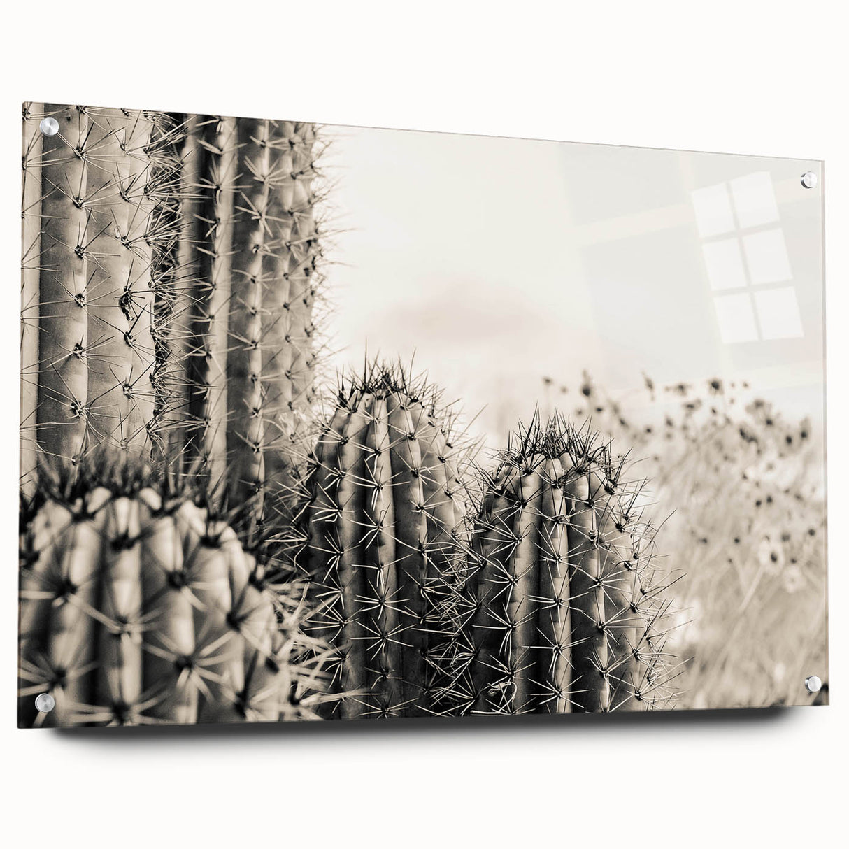 Acrylic print of Sedona, Arizona landscape in natural red and orange tones, suitable for bedroom or dining room decor.