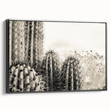 Black and white framed canvas of Sedona landscape, ideal for bedroom wall art in a vintage poster style.