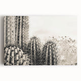 Black and white stretched canvas of Sedona landscape, ideal for kitchen wall art.