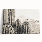 Black and white stretched canvas of Sedona landscape, ideal for kitchen wall art or bedroom ambiance.