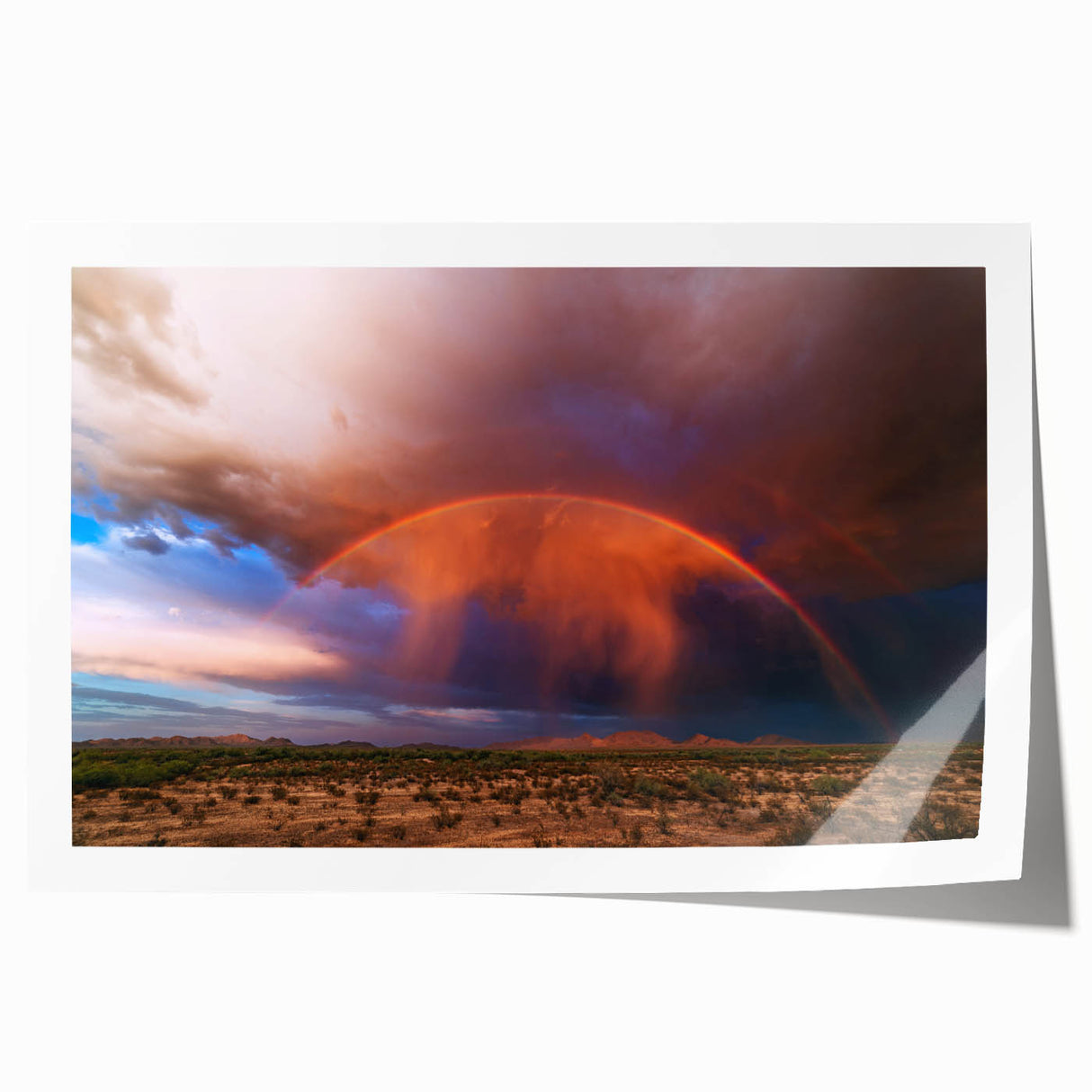 Extra large rolled print of the Sonoran desert with muted earth tones, ideal for art wall dining room.