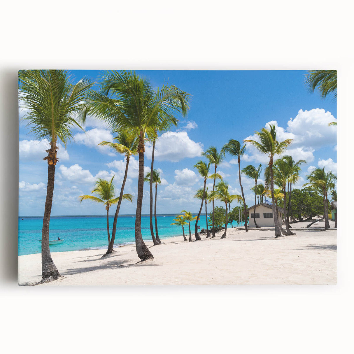 Black and white stretched canvas featuring the Catalina, California coastline, ideal for kitchen wall art.