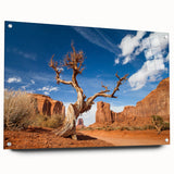 Acrylic print of Death Valley scenery in muted earth tones, ideal for dining room decor.