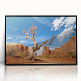 Large abstract wall art depicting Death Valley in muted earth tones on a framed acrylic.