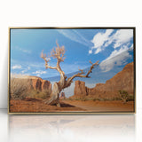 Large art print of Death Valley in muted earth tones on a framed acrylic, in a mid-century modernist style.