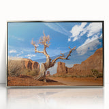 Mid-century modernist art of Death Valley in muted earth tones on a framed acrylic print, suitable for modern art wall decor.