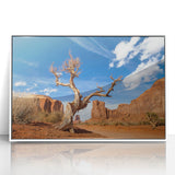 Acrylic print of Death Valley landscape in muted earth tones, framed in white, suitable for modern art wall decor.