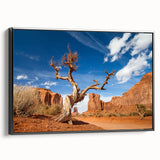 Black and white framed canvas depicting the Death Valley landscape, suitable for bedroom wall decor.