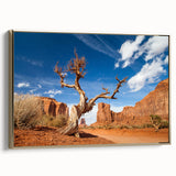 Framed canvas of Death Valley landscape in muted earth tones, ideal for bedroom wall art.