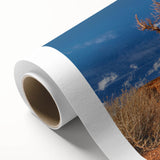 Art deco poster of Death Valley in muted earth tones on rolled canvas, suitable as nursery wall art or for dining room decor.