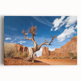 Black and white stretched canvas of Death Valley landscape, ideal for kitchen wall art.