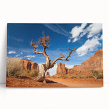Black and white stretched canvas of Death Valley, ideal for kitchen wall art or bedroom ambiance.