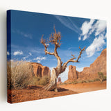Large canvas print of Death Valley landscape in natural earth tones, suitable for kitchen wall art.
