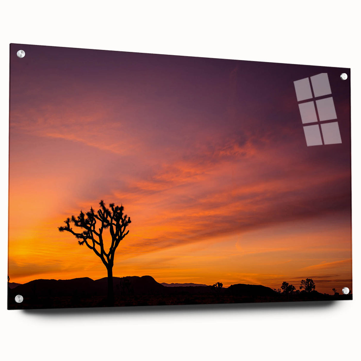 Acrylic print of Joshua Tree with muted earth tones, ideal for bedroom or dining room decor.