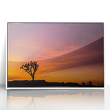 Acrylic print of a Joshua Tree in California, featuring muted earth tones, ideal for modern art wall decor.