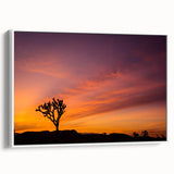 Vintage poster art of Joshua Tree on a framed canvas, featuring a muted color palette, ideal for living room decor.